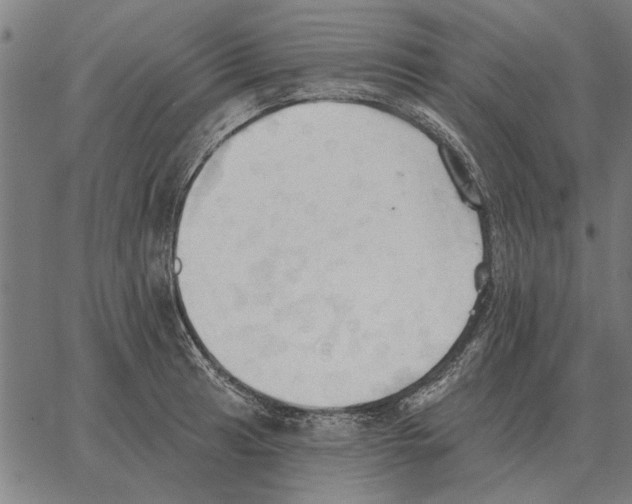 X0000062891041200602101736