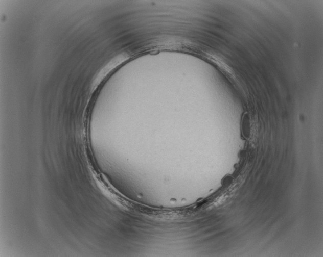 X0000062891042200602101736