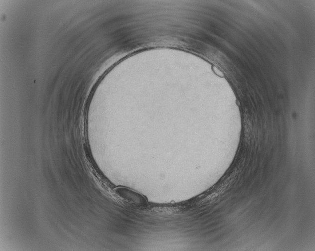 X0000062891044200602101736