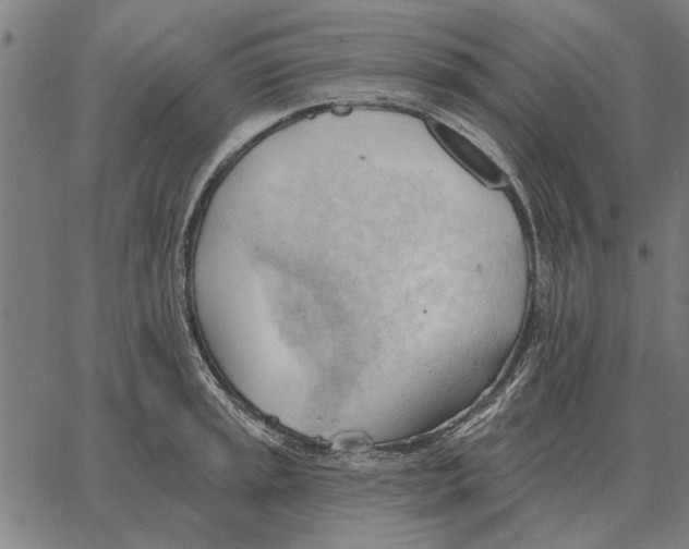 X0000062891045200602101736