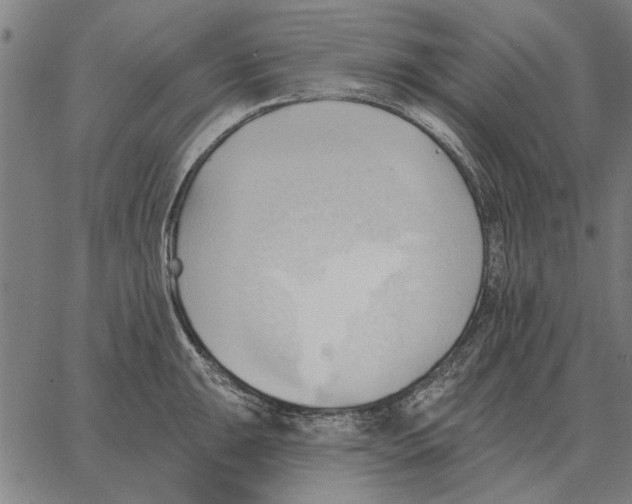 X0000062891047200602101736