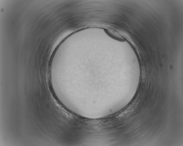 X0000062891048200602101736