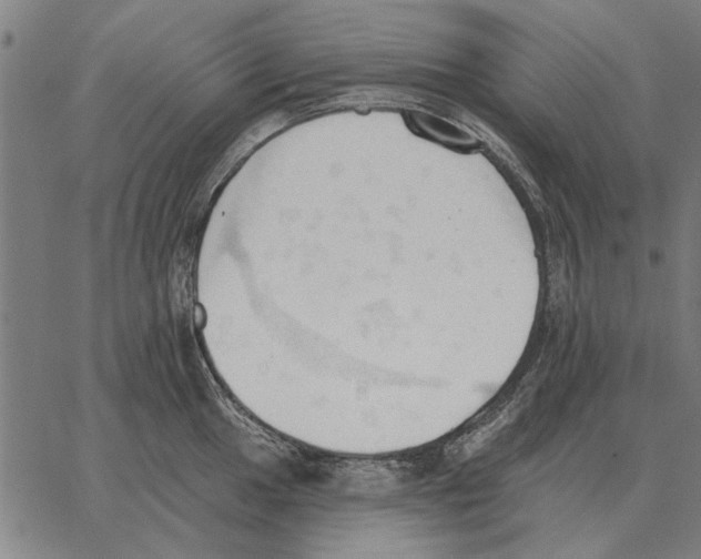 X0000062891049200602101736