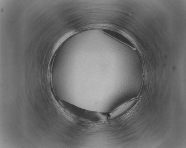 X0000062891050200602101736