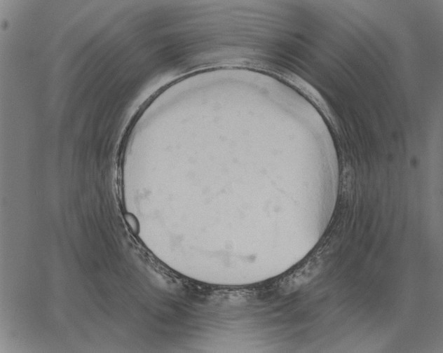 X0000062891051200602101736