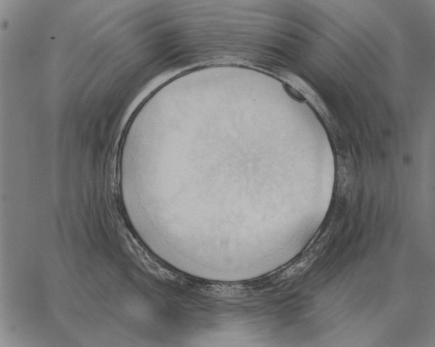 X0000062891052200602101736