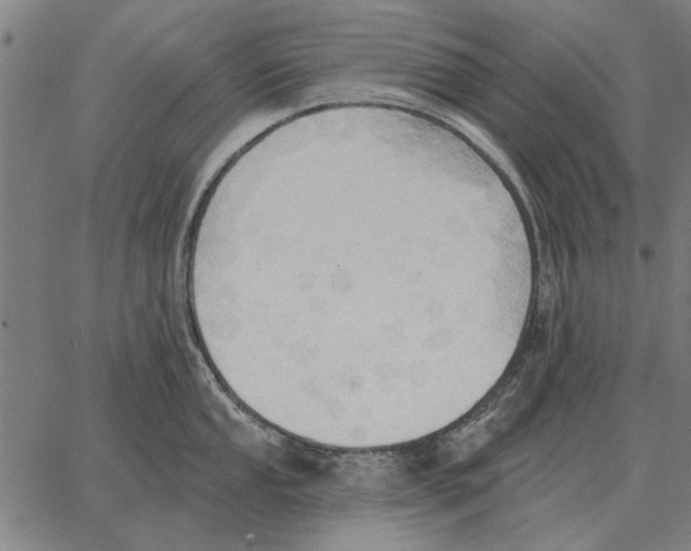 X0000062891053200602101736