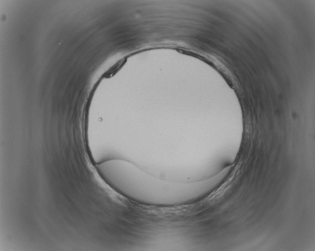 X0000062891054200602101736