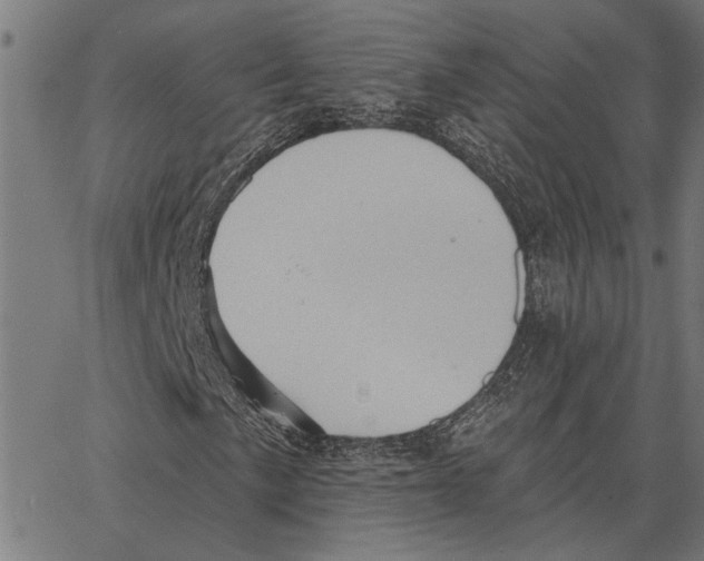 X0000062891057200602101736