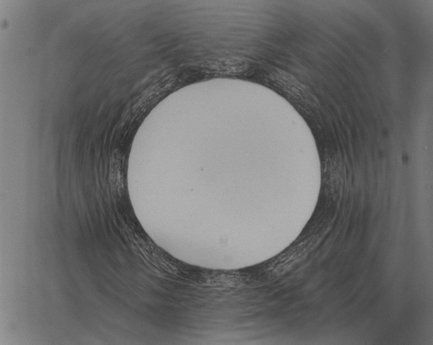 X0000062891058200602101736