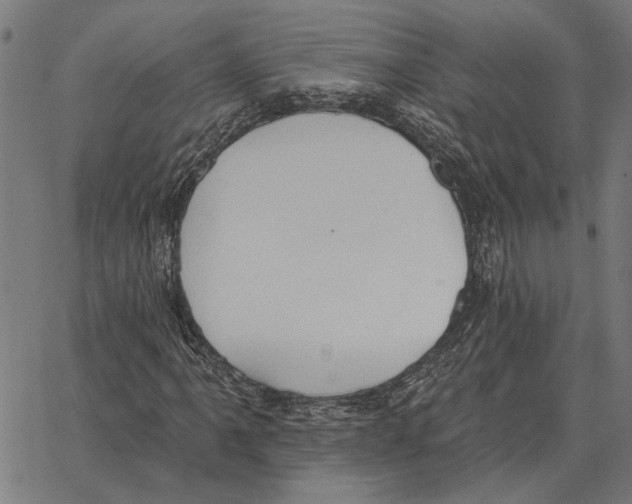 X0000062891061200602101736