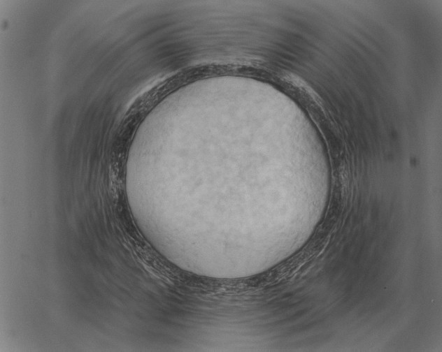 X0000062891064200602101735