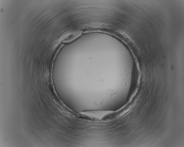 X0000062891065200602101735