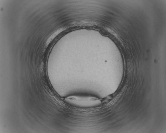 X0000062891066200602101735