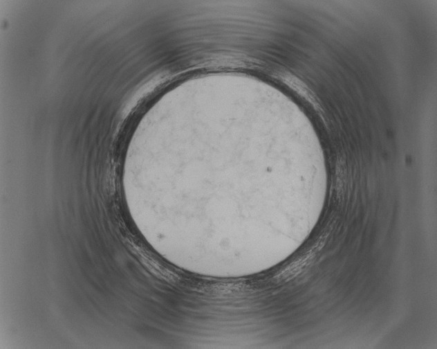 X0000062891067200602101735