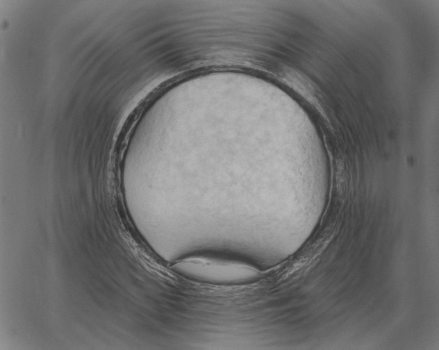 X0000062891068200602101735