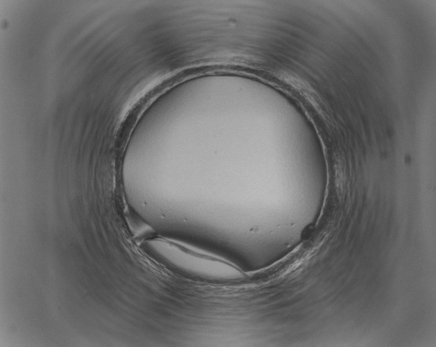 X0000062891069200602101735