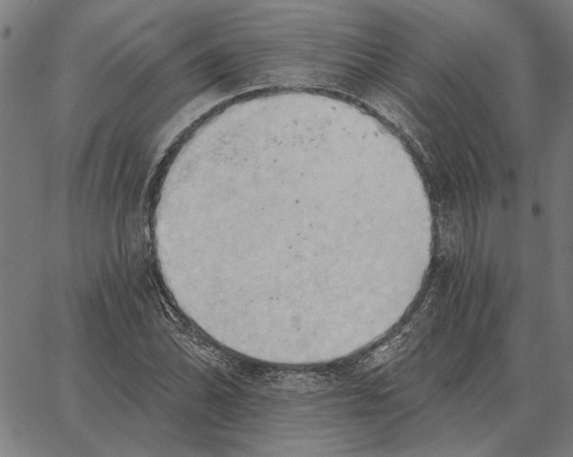 X0000062891070200602101735