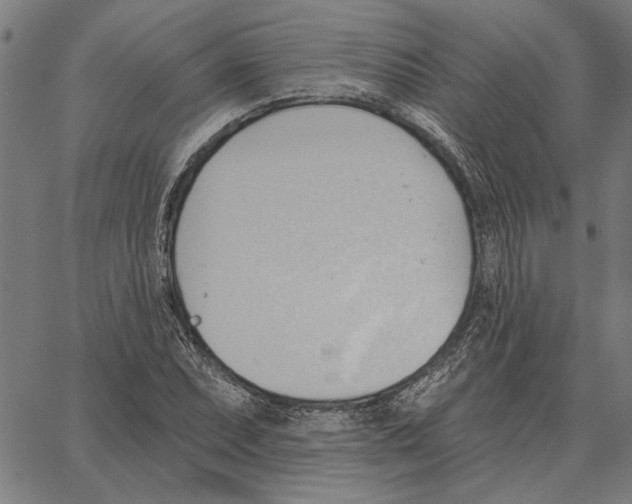 X0000062891071200602101735