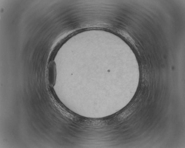 X0000062891072200602101735