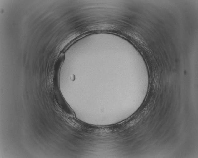 X0000062891073200602101735