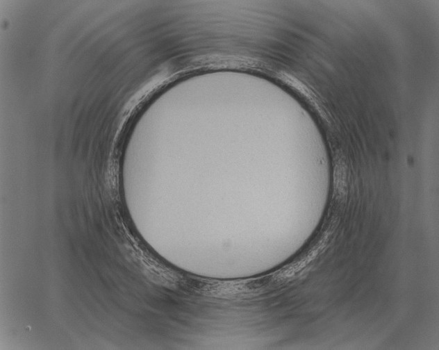 X0000062891074200602101735