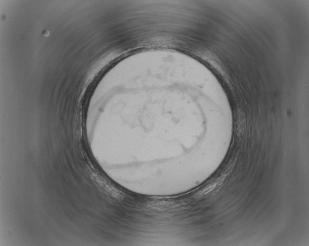 X0000062891075200602101735