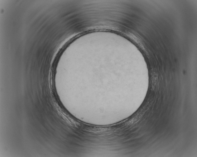 X0000062891076200602101735