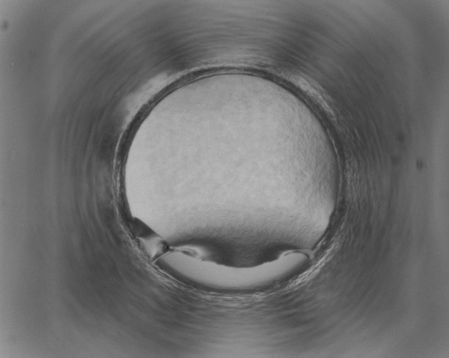 X0000062891077200602101735