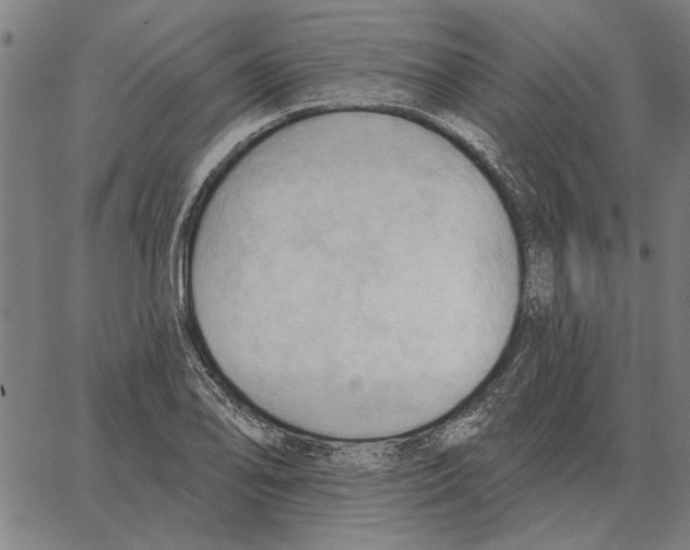 X0000062891078200602101735