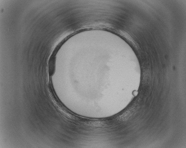 X0000062891079200602101735