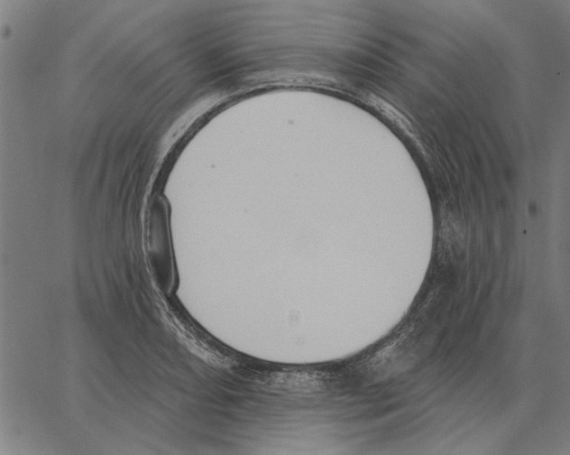 X0000062891082200602101735