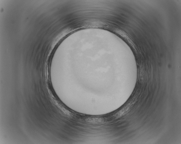 X0000062891083200602101735