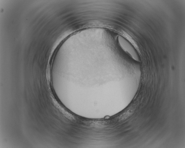 X0000062891084200602101735