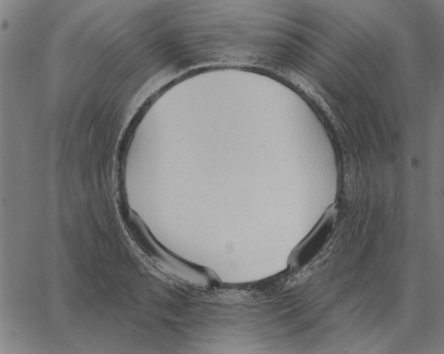 X0000062891085200602101735