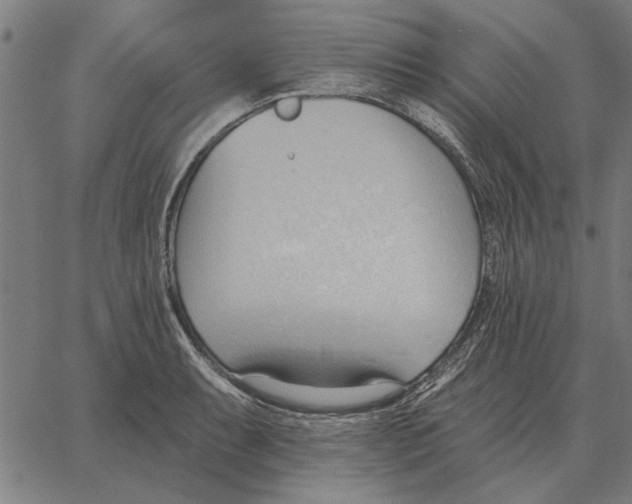 X0000062891087200602101735