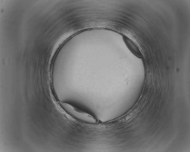 X0000062891088200602101735