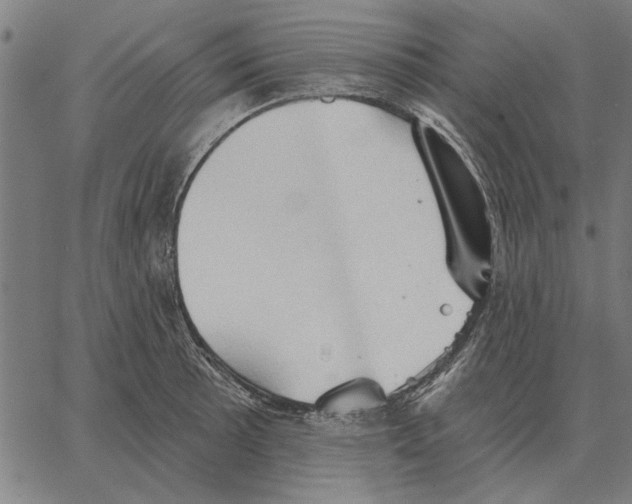 X0000062891089200602101735