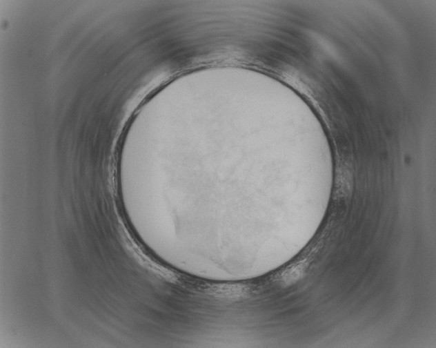 X0000062891090200602101735