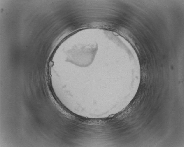 X0000062891091200602101735