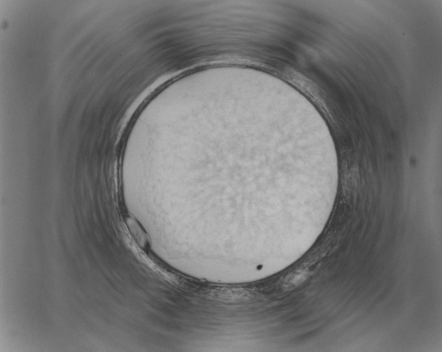 X0000062891092200602101735