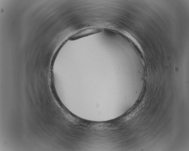 X0000062891093200602101735