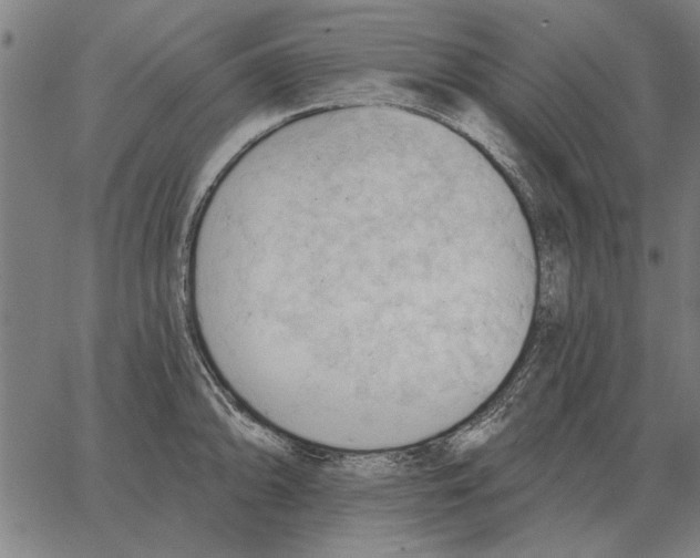 X0000062891094200602101735