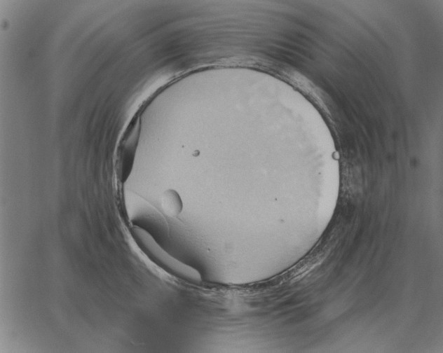 X0000062891095200602101735