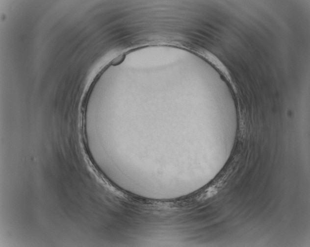 X0000062891096200602101735