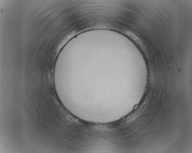 X0000062891097200602101735