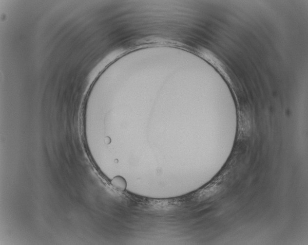 X0000062891098200602101735