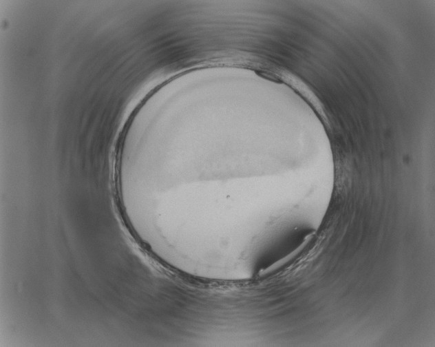 X0000062891099200602101735