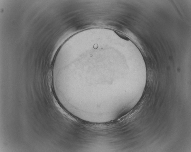 X0000062891100200602101735