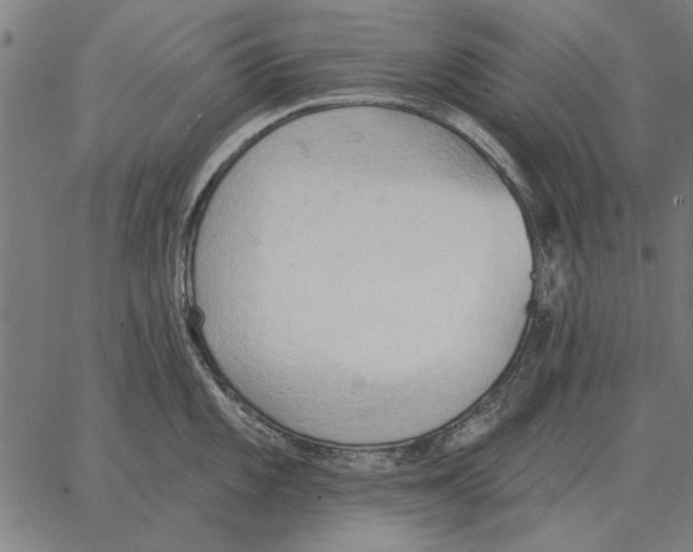 X0000062891101200602101735